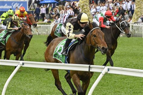 Rosehill Horse Race Results .